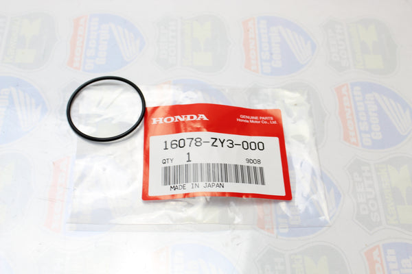 IMG_1669_grande.jpg?v=1568154048