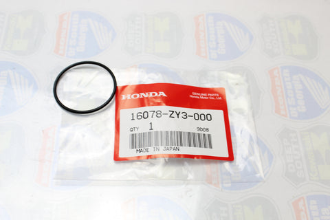 omemoto3 MT64601011_v1.jpg