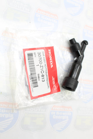 30700-Z1C-813 Cap Assy